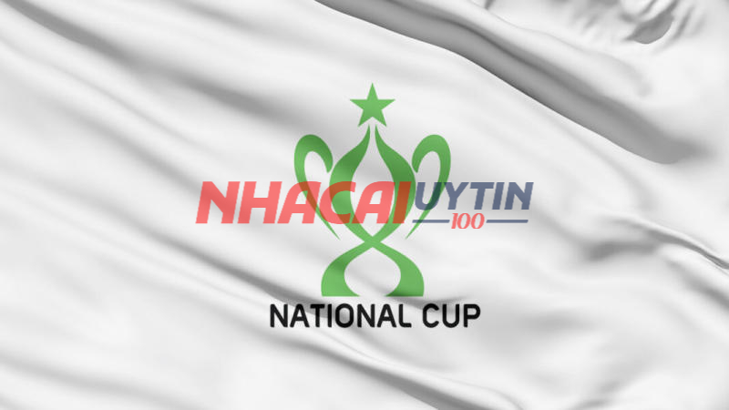 Những lý do nên theo dõi lịch thi đấu siêu cúp quốc gia Việt Nam